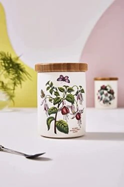 Portmeirion Botanic Garden Small Airtight Canister | 5.5 Inch Storage Container With Fuchsia Motif | Made In England From Fine Earthenware | Dishwasher Safe -Brabantia Shop 312LyoctdHL