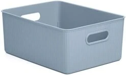Tatay Storage Box Baobab, 22L Capacity, Polypropylene, BPA Free, Mist Blue Measures 29.4 X 38.5 X 23 Cm -Brabantia Shop 31cSqjbV6aL. AC