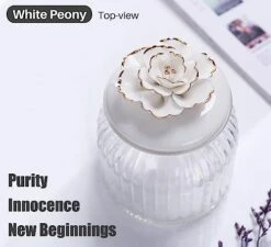 HomeyHoney 22 Oz Decorative Glass Jars With Airtight Lids, Handmade White Porcelain Peony On Lid, Decorative Glass Canisters With Airtight Lids, Glass Storage Containers With Lids For Candy Cookie -Brabantia Shop 413OozIPJoL