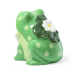 Ceramic Kitchen Scrubby Sponge Holder, Art Frog Collection, Adorable Home & Kitchen Decor -Brabantia Shop 416yEJ06oKL