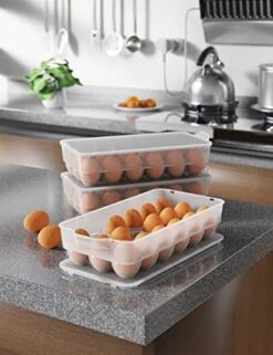 Clear Covered Egg Holder 3-Pack, Plastic Egg Storage For Refrigerator, Egg Tray Container With Lid, Fits 18 Eggs -Brabantia Shop 418373xZ0gL