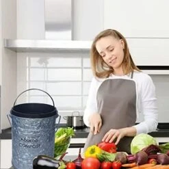Abakoo Stainless Steel Compost Bin - Premium Grade 304 Stainless Steel Kitchen Composter - Includes 4 Charcoal Filter, Indoor Countertop Kitchen Recycling Bin Pail (1.0 Gallon (Galvanized)) -Brabantia Shop 41A3hrKn1jL