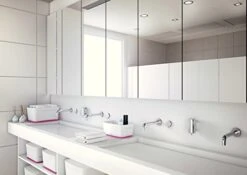 Leitz Small MyBox With Lid, Storage Box For Home And Office, High Gloss Plastic, 5 Litre, A5, White/Pink Metallic 11 Leitz Small MyBox With Lid, Storage Box For Home And Office, High Gloss Plastic, 5 Litre, A5, White/Pink Metallic -Brabantia Shop 41IfqaNPUkL