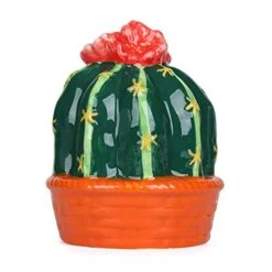 Ceramic Kitchen Scrubby Sponge Holder, Art Cactus Collection, Adorable Home & Kitchen Decor -Brabantia Shop 41Nm6KC62eL