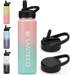 SANTECO Water Bottle 24 Oz, Vacuum Insulated Stainless Steel Bottle With Straw Handle Lid, Leakproof Bottles, Wide Mouth Easy Clean, Keep Drinks Hot & Cold For Gym, Camping, Hiking, Blue Purple -Brabantia Shop 41OzsrJcNNL. AC