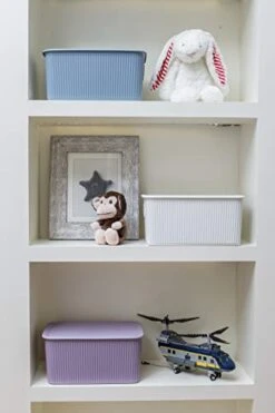 Tatay Storage Box Baobab, 22L Capacity, Polypropylene, BPA Free, Mist Blue Measures 29.4 X 38.5 X 23 Cm -Brabantia Shop 41nxVZ7o5qL