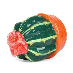 Ceramic Kitchen Scrubby Sponge Holder, Art Cactus Collection, Adorable Home & Kitchen Decor -Brabantia Shop 51Jg6qk1sCL