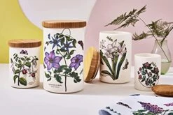 Portmeirion Botanic Garden Small Airtight Canister | 5.5 Inch Storage Container With Fuchsia Motif | Made In England From Fine Earthenware | Dishwasher Safe -Brabantia Shop 51SBcpEPDEL