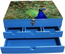 Enigmatic Woodworks Multi Drawer Wood Lotus Storage Box, Blue -Brabantia Shop 51kkllmt5L. AC